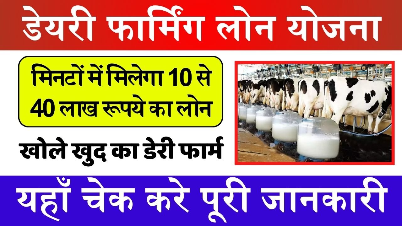 Dairy Farming Loan Scheme: ऐसे शुरू करे अपना डेरी फार्म बिजनेस, मिनटों में मिलेगा 10 से 40 लाख रूपये का लोन