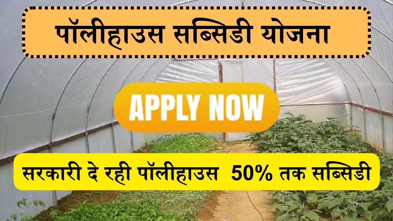 Poly House Subsidy Yojna: सरकारी दे रही पॉलीहाउस लगाने के लिए 50% तक सब्सिडी, ऐसे करे आवेदन