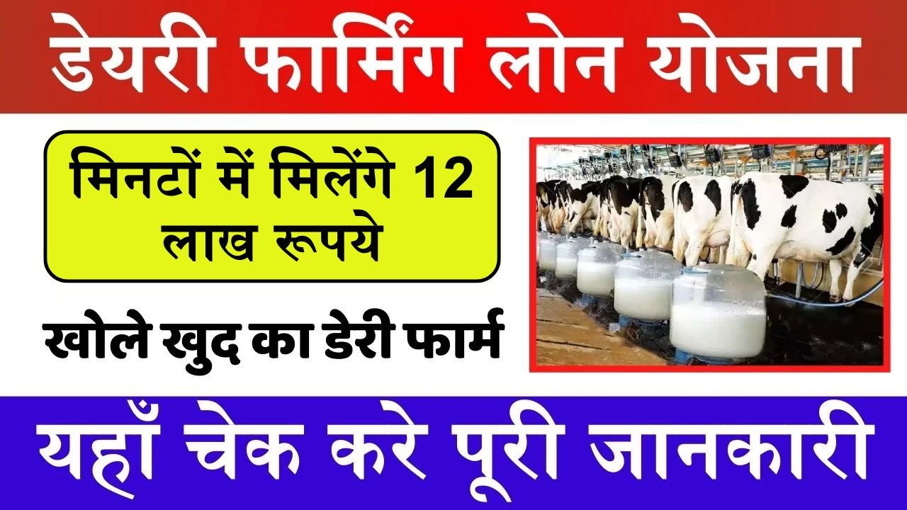 Dairy Farming 12 Lakh Loan Scheme: डेयरी फार्मिंग बिजनेस के लिए मिलेगा 12 लाख रूपये का लोन, ऐसे प्राप्त करे लोन