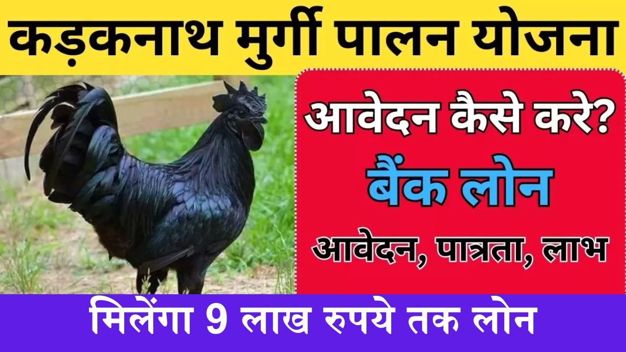 Kadaknath Murgi Palan Loan: कड़कनाथ मुर्गी पालन के लिए मिलेंगा 9 लाख रुपये तक लोन, यहाँ करे आवेदन