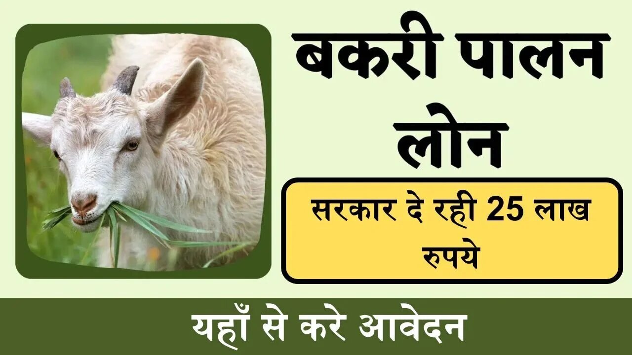 Bakari Palan Lone: सरकार दे रही बकरी पालन के लिए 25 लाख रुपये तक का लोन, यहाँ करे आवेदन