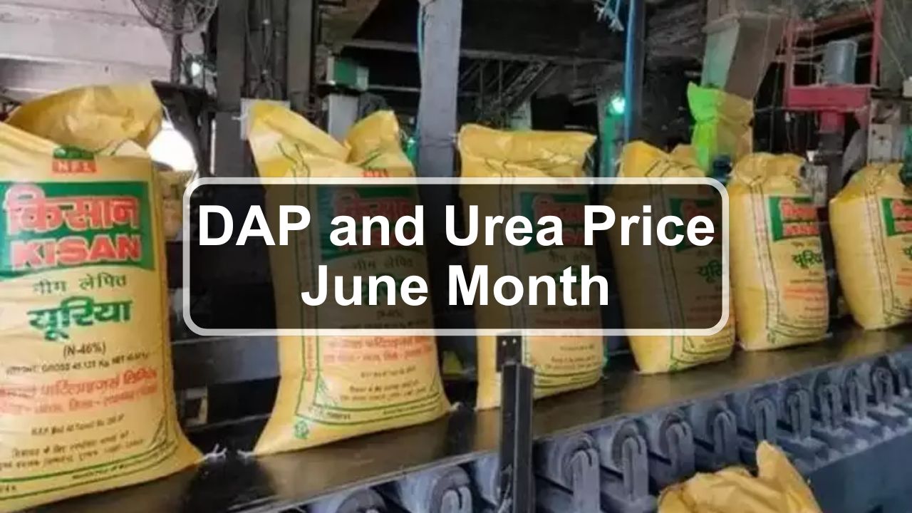 DAP and Urea Price June Month: डीएपी और खाद नए दाम देख किसानो की होगी बल्ले बल्ले, देखे एक बोरी का भाव