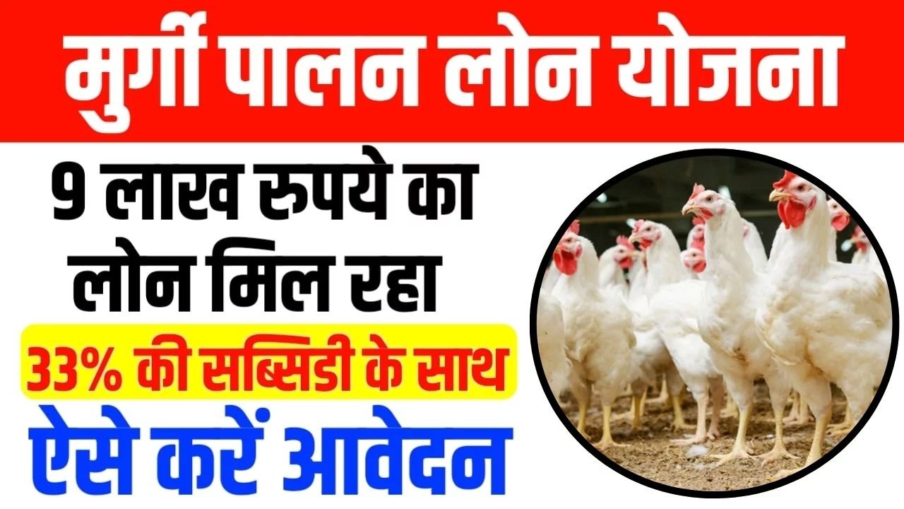 Poultry Farming Loan: मुर्गी पालन के लिए बेहद आसानी से मिल जायेगा 9 लाख का लोन, साथ में मिलेगी 33% सब्सिडी