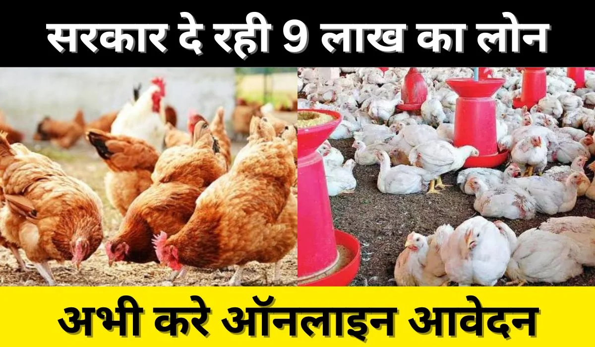 Poultry Farming Loan Yojana: मुर्गी पालन पर मिल रहा 9 लाख रूपये का लोन, 33% सब्सिडी के साथ देखे पूरी डिटेल