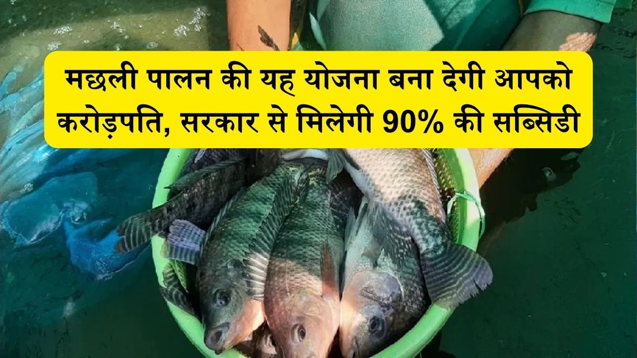 मछली पालन की यह योजना बना देगी आपको करोड़पति, सरकार से मिलेगी 90% की सब्सिडी देख क्या है योजना