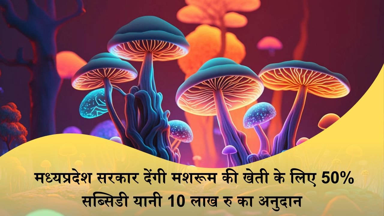 Mushroom Farming Yojana: मध्यप्रदेश सरकार देंगी मशरूम की खेती के लिए 50% सब्सिडी यानी 10 लाख रु का अनुदान, जानिए कैसे ले लाभ