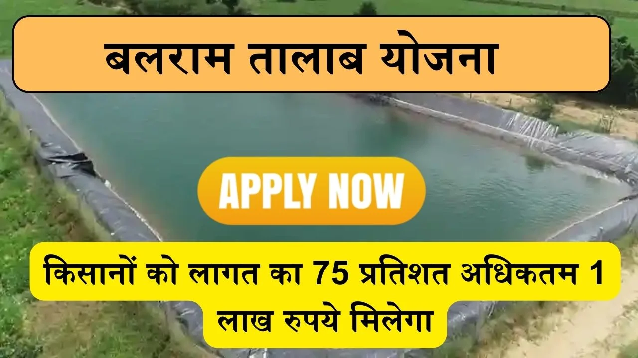 Balram Talab Yojana: इस योजना से खेत में तालाब बनाने मिलता है लागत के 75 प्रतिशत 80 हजार रु का अनुदान, ऐसे करे आवेदन