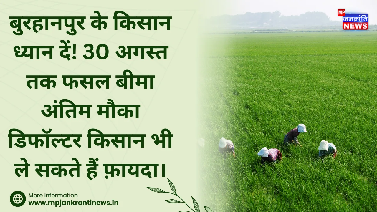 बुरहानपुर फसल बीमा योजना