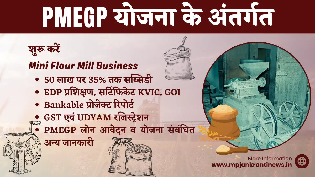 PMEGP योजना से मिनी फ्लोर मिल का व्यवसाय