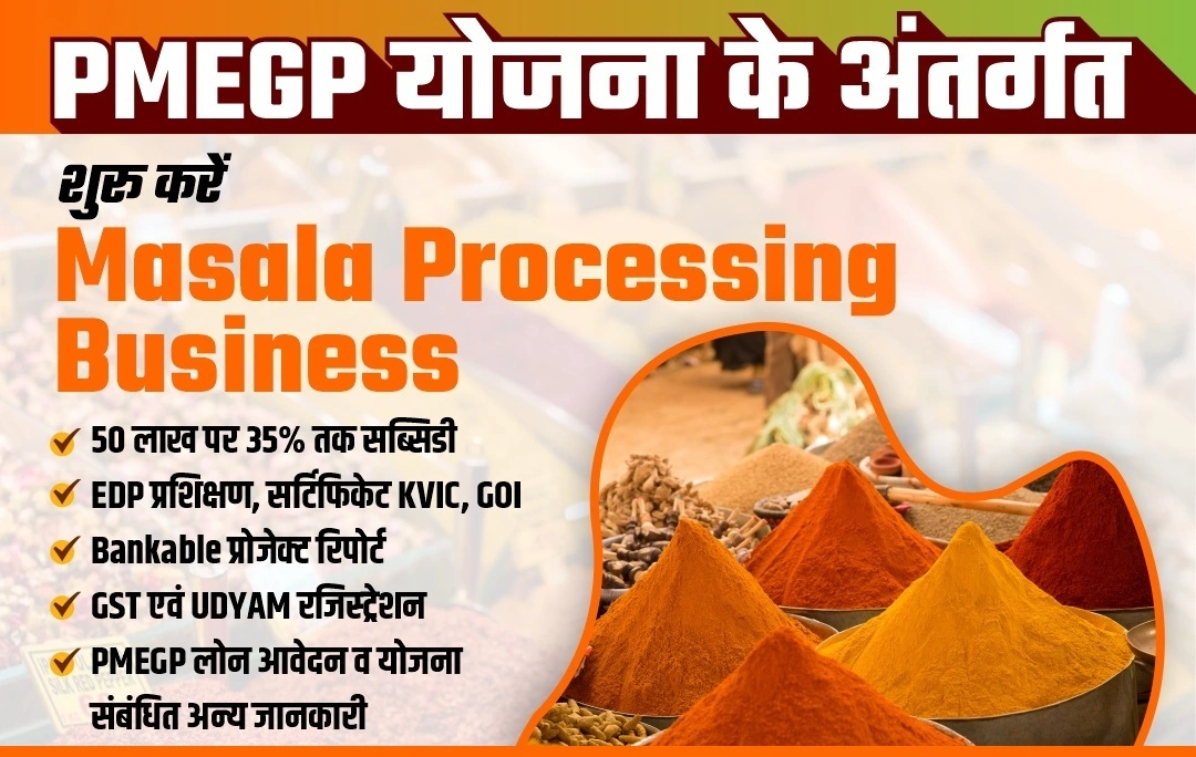 PMEGP योजना आपको मसाला प्रोसेसिंग व्यवसाय शुरू करने में कैसे मदद कर सकती है?
