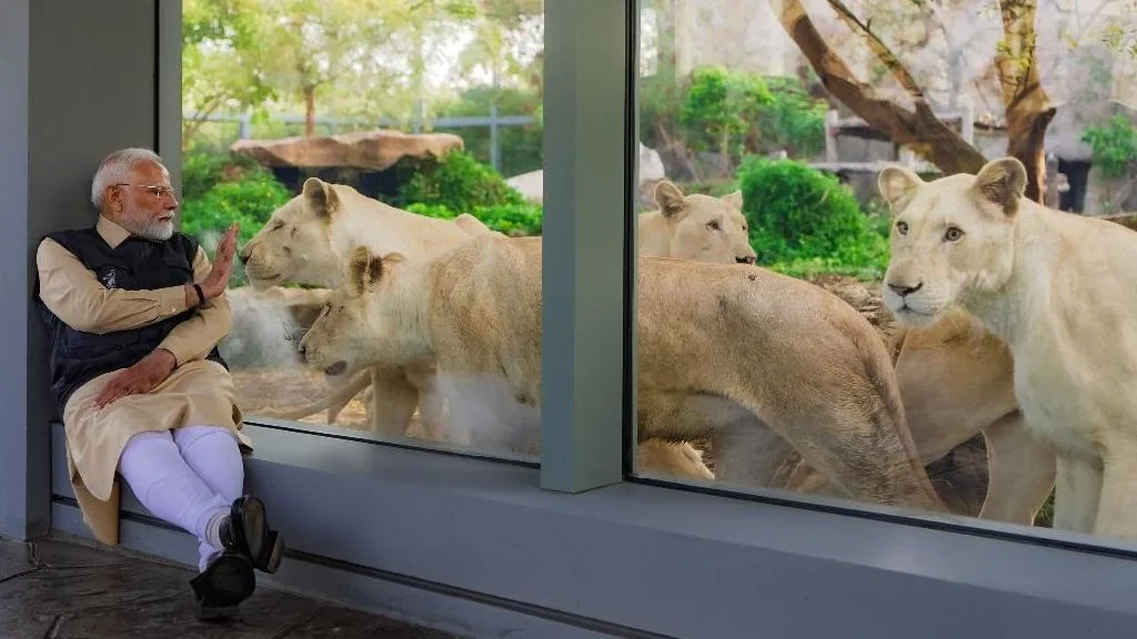 Reliance Vantara Zoo, Jamnagar पर Supreme Court SIT द्वारा 200 सवाल भेजे गए; animal welfare, finance और कानून उल्लंघन पर जांच जारी